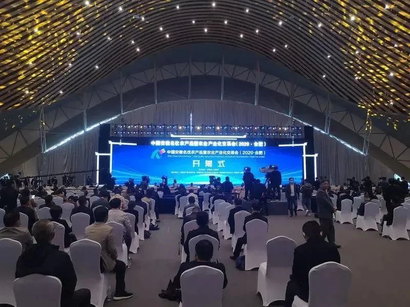 会展管理能做啥副业?上班族电脑赚钱有招吗?