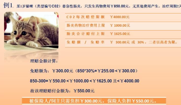 众安宠物保险能兼职卖吗,绝育报销真的能报吗?