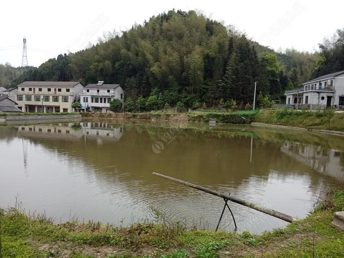 休闲钓鱼场副业有哪些？新手也能轻松赚钱？