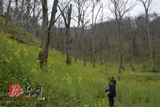 伊春副业有哪些创收产品类型和赚钱路子？