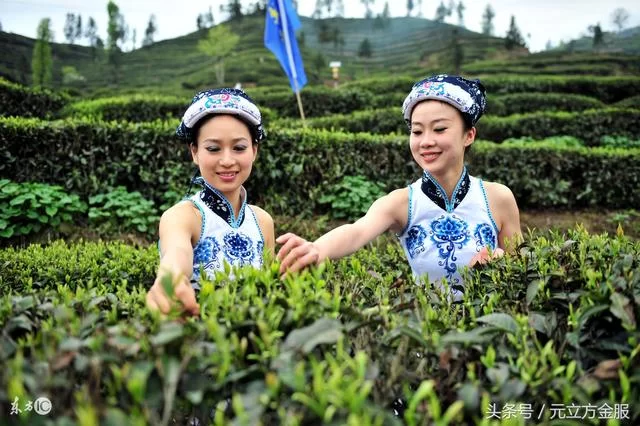 休闲副业有哪些类型，农业和退休副业能干点啥？