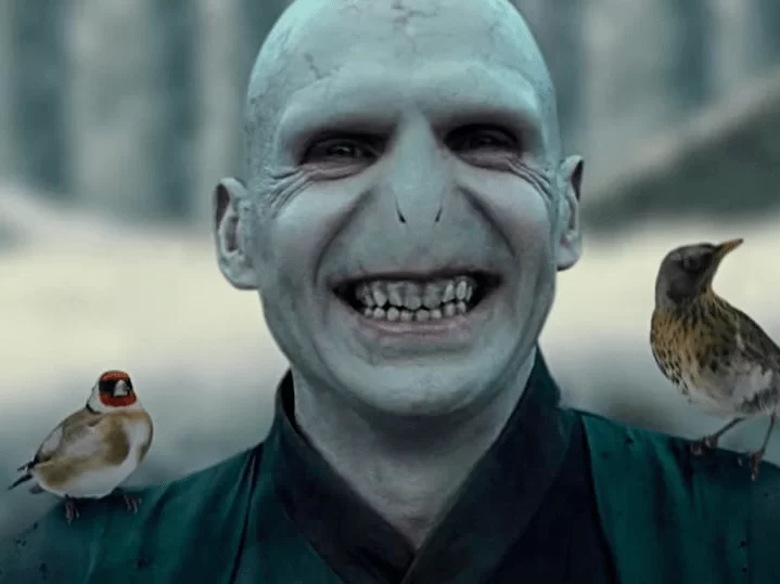 伏地魔副业有哪些？怎么靠这个赚钱？靠谱吗？