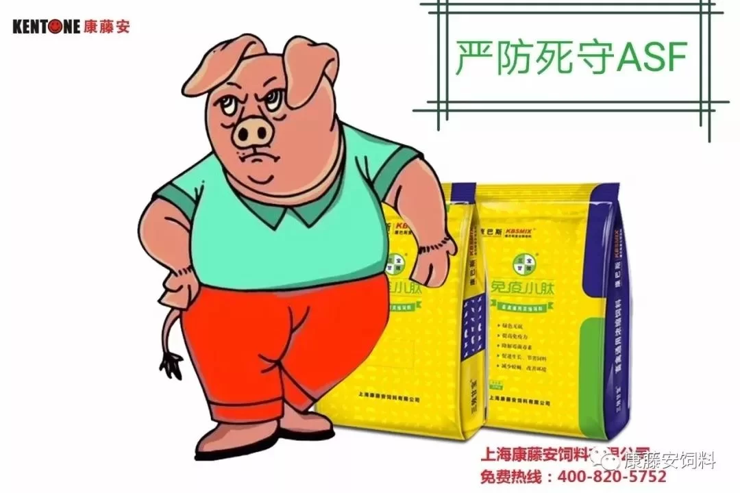 什么养殖副业好养又赚钱,投资小还适合退休?