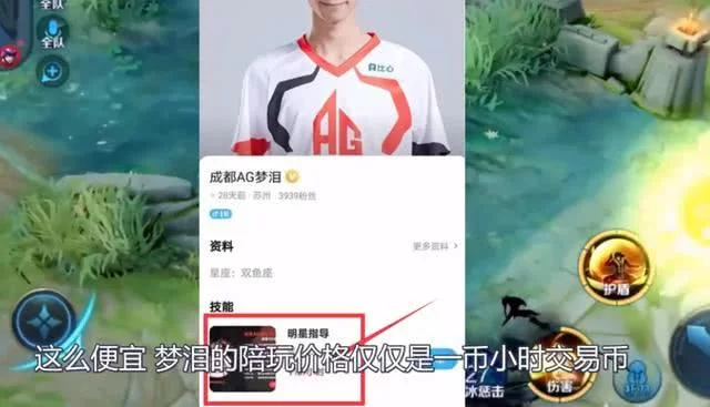 五个陪玩副业有哪些?陪玩一小时多少钱多少?