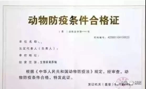 什么乌龟能当副业,证书高铁养法要注意啥?