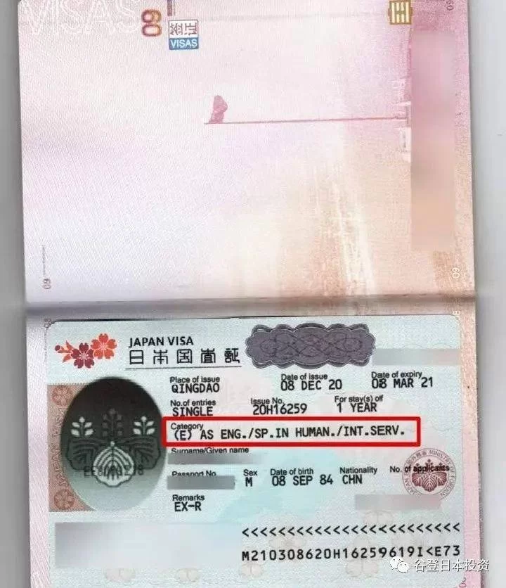 人文技术签证做副业,学什么技术更合适呢?