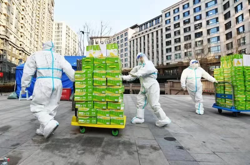 临安兼职宠物店和上门喂食，靠谱兼职去哪找？