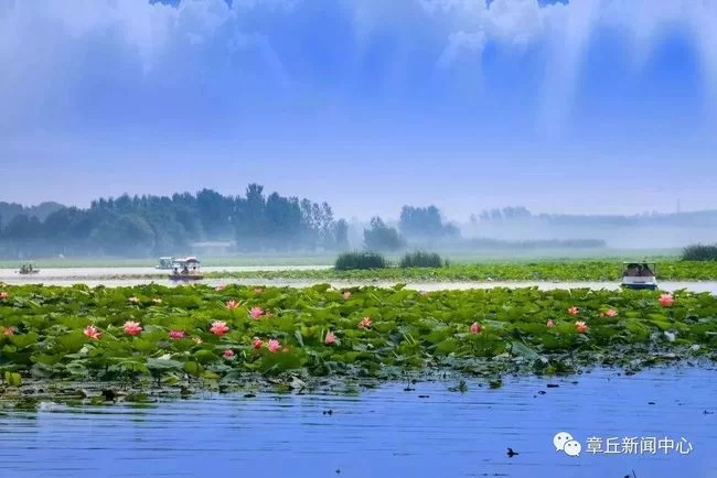 临湘白云湖影城兼职靠谱吗？到实验小学远不远？