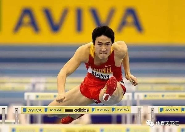 中国世界冠军副业名单都有哪些热门项目呢？