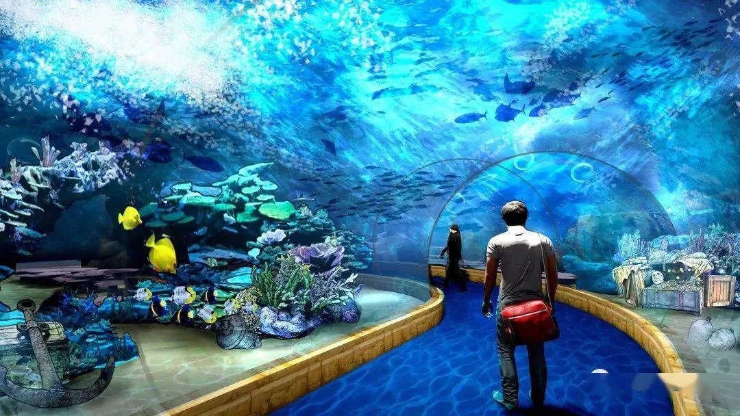 东营西城海洋馆兼职好玩吗？工作轻松不累人？