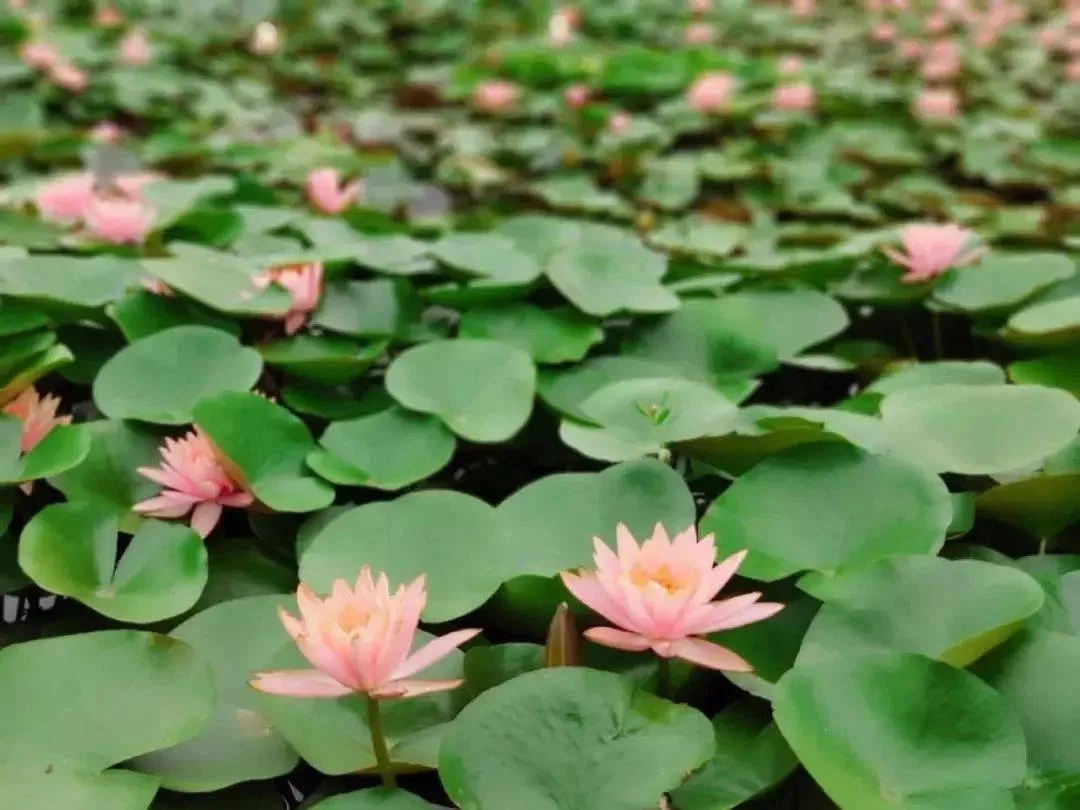 中山兼职晚上三小时怎么找，夜班微信群靠谱不？