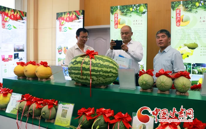 中国农副业脱贫地区，咋撑起全面脱贫的半边天？