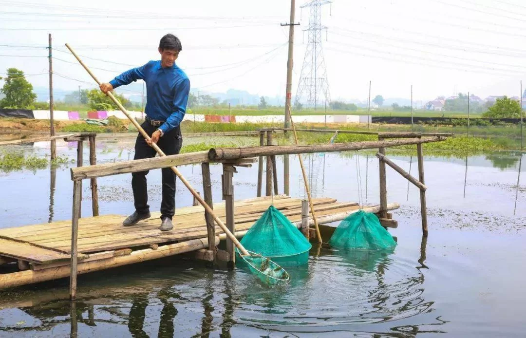中国渔民副业有哪些既能赚钱又靠谱的好路子呢?