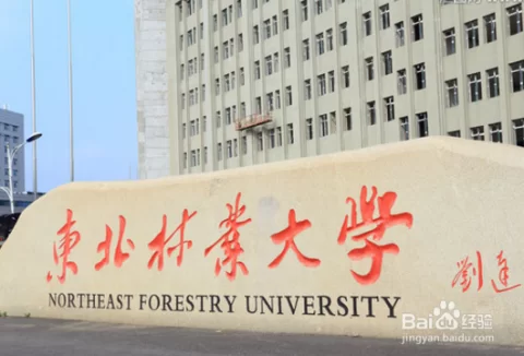 中关村附近兼职哪家好?租房便宜的地方在哪找?