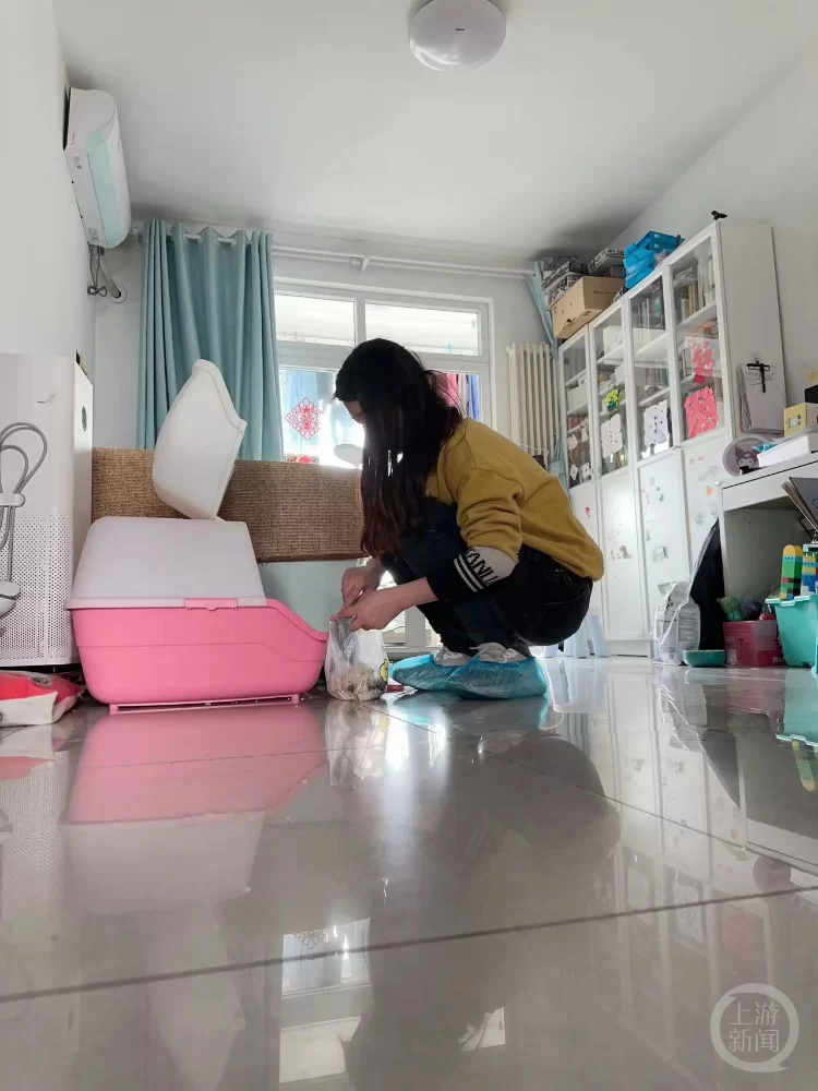 东莞宠物兼职怎么找靠谱,上门喂养能做吗?