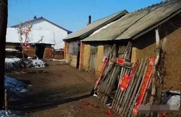 东北农村闲置房子搞副业,做点啥靠谱能赚钱呢?