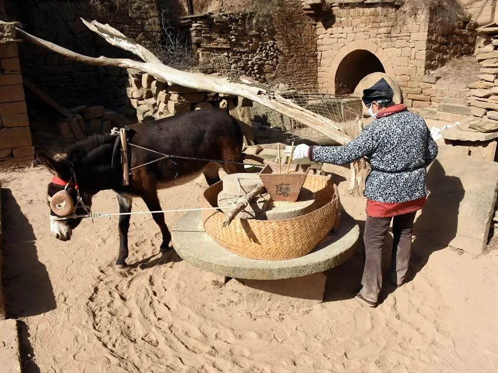 下班副业卖灯能赚钱吗？适合一个人在家做的？