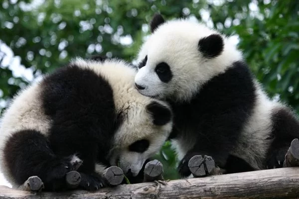 上班族闲暇时间搞副业做点啥既能赚钱又靠谱？