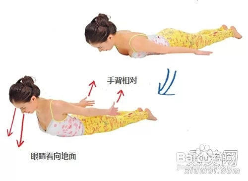 上班族适合做什么副业最减肥又赚钱效果好？