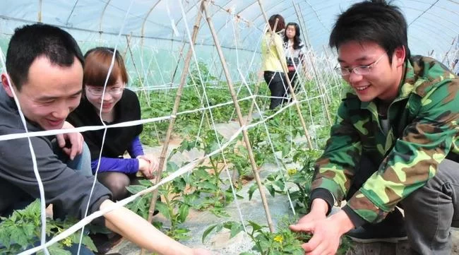 在农村到底做些什么能挣钱又稳当靠谱呢?