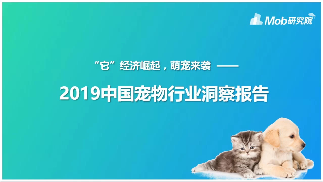 狗狗赚钱靠谱不?这些狗生意到底行不行?