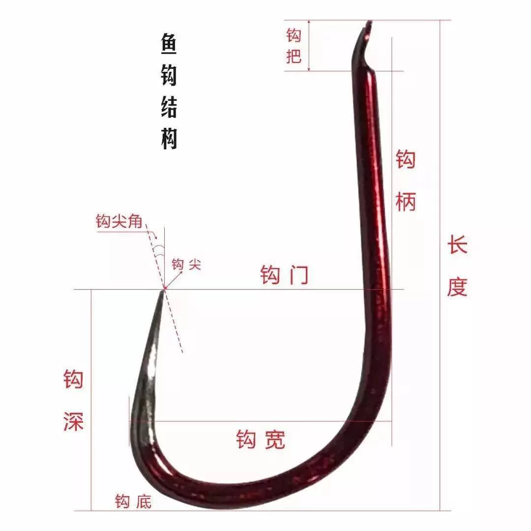 锚鱼钩怎么选？哪种钩子中鱼率高