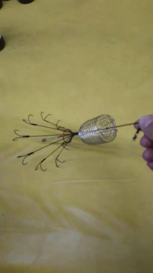 锚钩适合钓什么鱼？哪种鱼最好上钩？