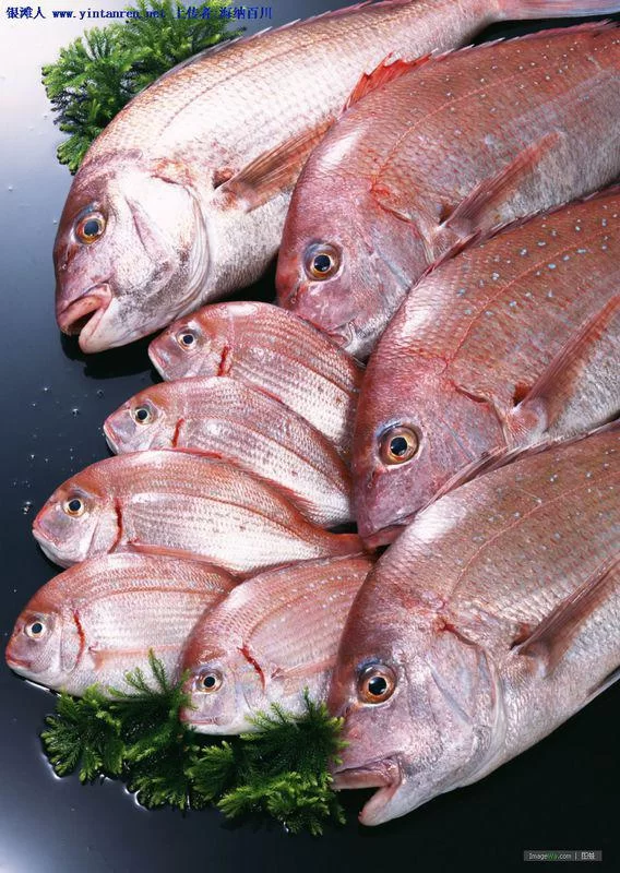 海豚打码兼职靠谱吗？一天能赚多少钱？