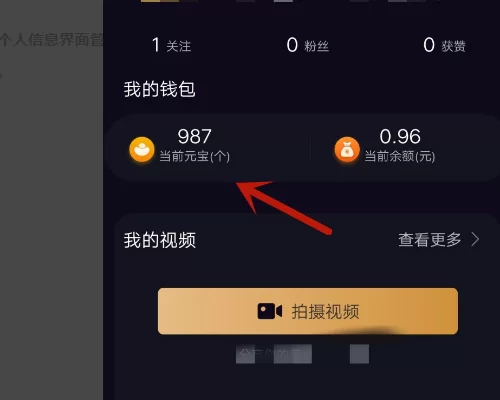 苹果刷宝能赚钱吗,安全靠谱吗?