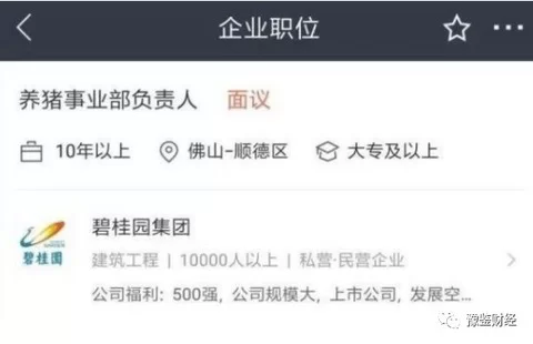 主业养猪副业视频,区别怎么兼顾致富副业又两不误致富技术呢?