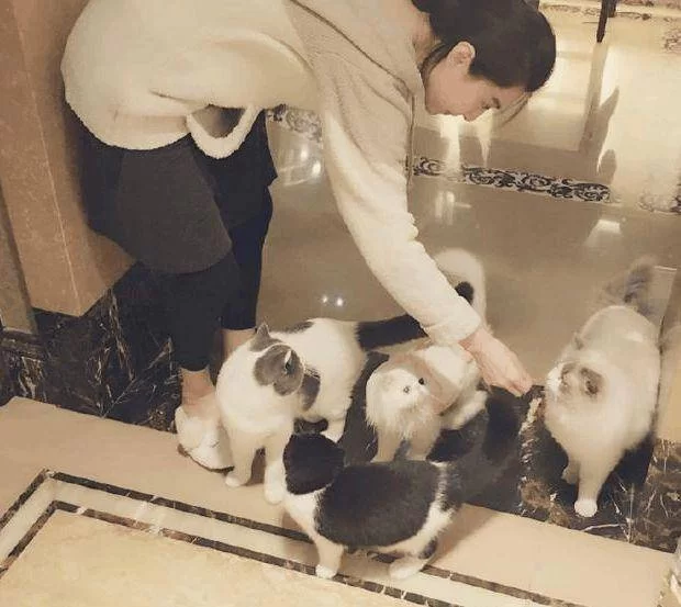 上门喂猫兼职靠谱吗?服务时长协议注意事项要注意哪些?