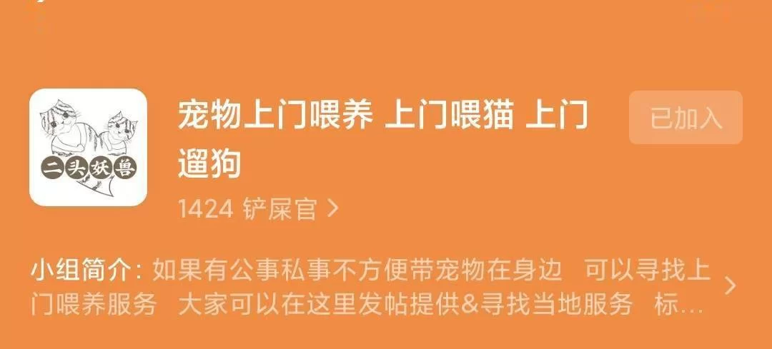 上门喂猫兼职有什么要求,兼职时间和法定要求要注意吗?