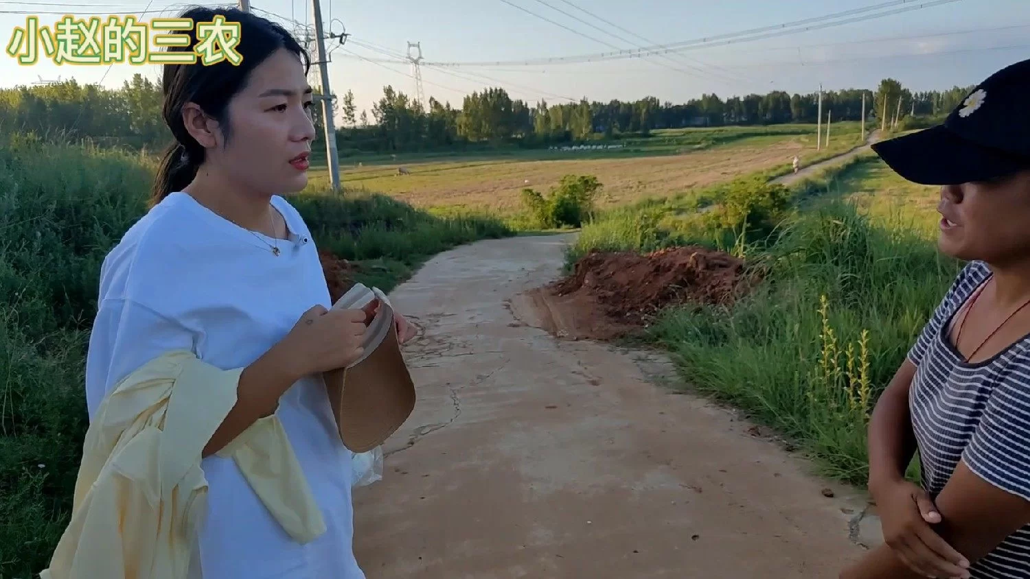 丹丹的副业是啥?淑芬与丹丹古城故事里的副业都有哪些呀?
