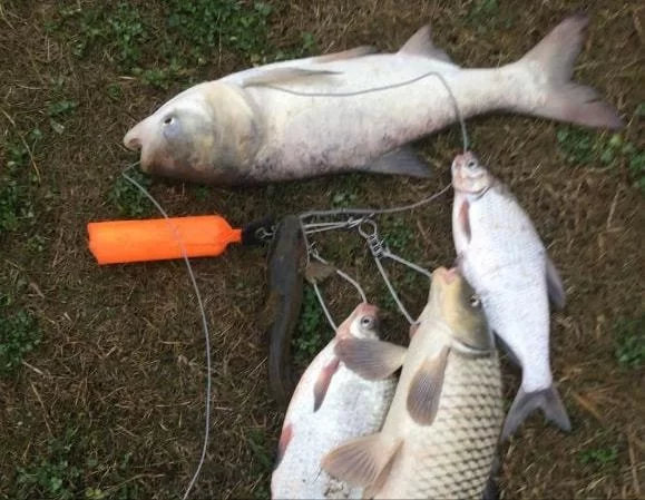 可视锚鱼深水能看清吗，水下多少米最合适？