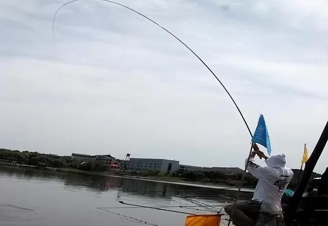 可视锚鱼怎么甩竿提竿,才能让中鱼率更高?