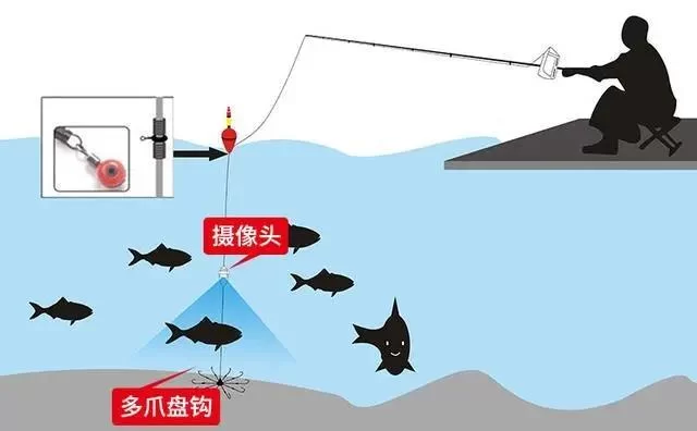 可视锚鱼中鱼率高,但这种钓法真的合法吗?
