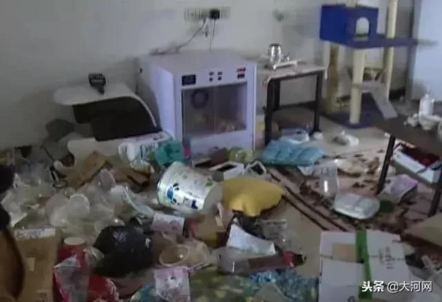 不住的房子电费物业费咋处理,女性上班族适合哪些副业?