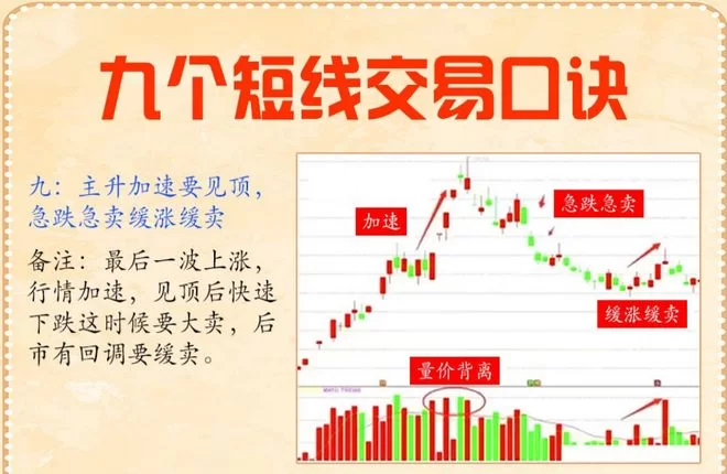 不会炒股怎么找兼职客户?打字喂猫喂狗接单赚钱开票难不难?