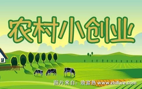 农村适合搞什么副业既赚钱又有前景呢?