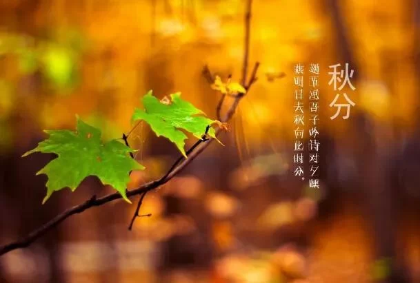 下雨男人兼职靠谱吗?适合做哪些兼职?农谚秋分下雨怎么说?