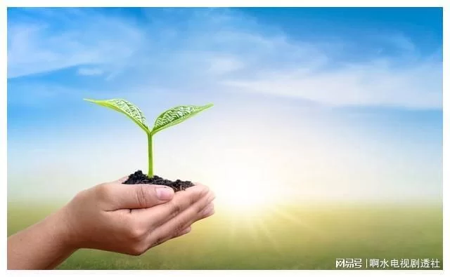 赚钱要紧,到底需要啥好心态?
