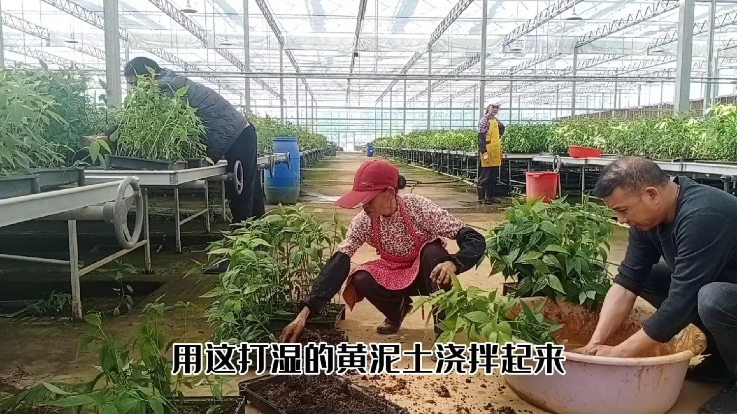 偏门工作去哪找?高薪赚钱的活儿怎么找?