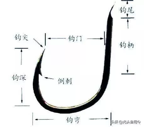 新手锚鱼用什么钩好?中鱼率高的钩子怎么选