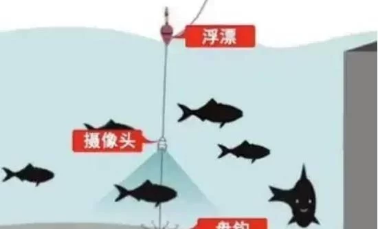 摄像头锚鱼怎么安装接线,组装技巧有哪些?