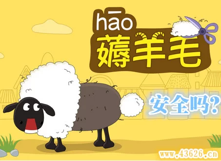 薅羊毛怎么赚钱?佣金提现全攻略