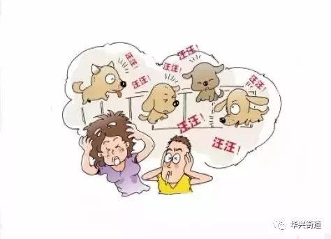 上班族适合做什么副业养小狗，下班后不影响工作还能赚钱吗？