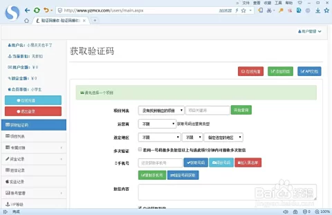 打码任务网站咋接收,网页接码怎么弄?