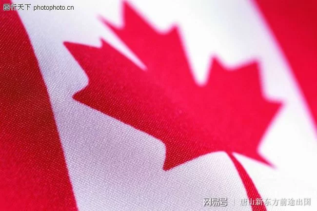 中国兼职先生,留学生能在中国兼职吗?插画网、配音网官网机会多!