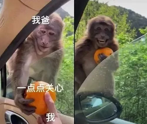 中国boy副业都有啥?游戏解说大猩猩奶奶卡车跑酷全齐活?