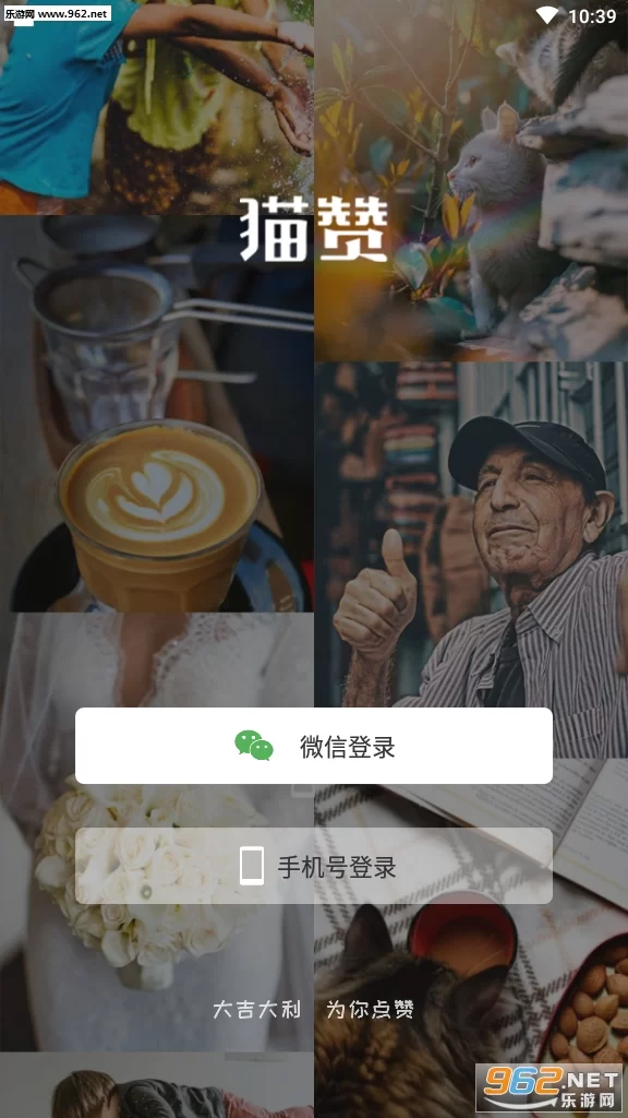 悬赏猫怎么推广才能赚到更多钱?